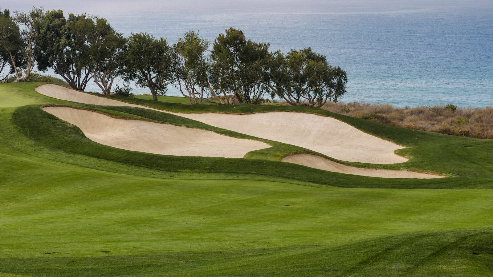 Photo of a Golf Course